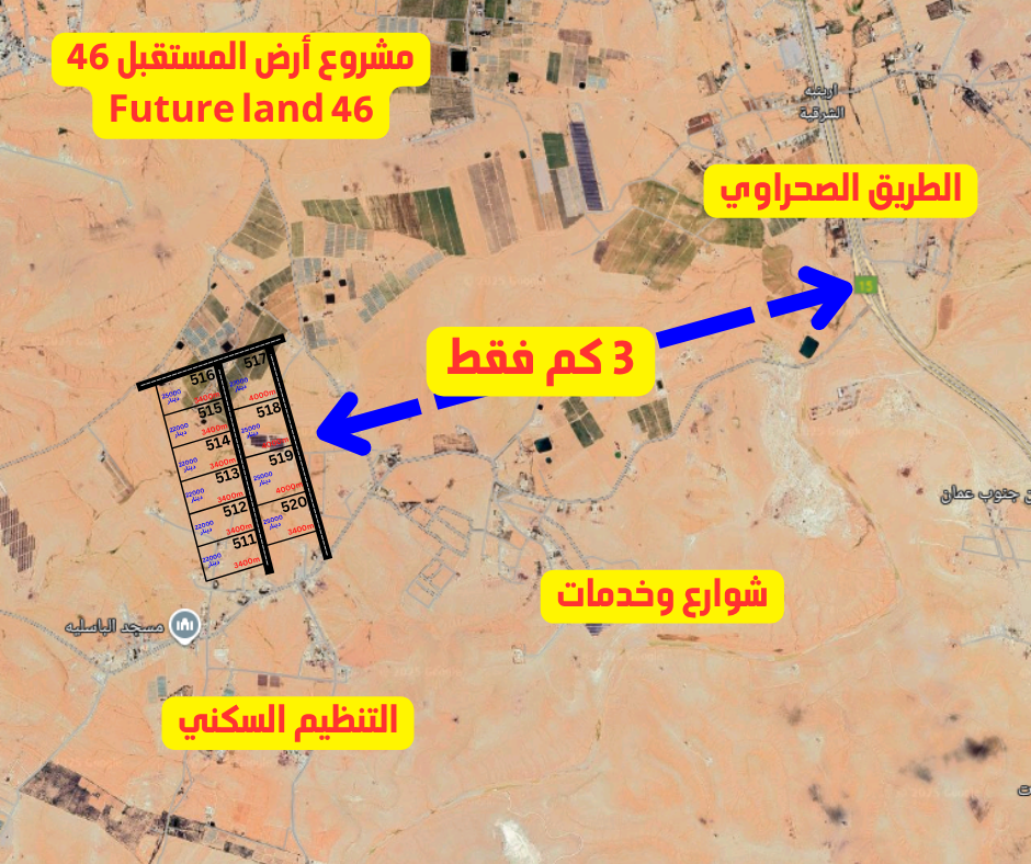 ارينبة المستقبل 46